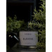 Распив Byredo Blanche — 3